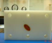 耐磨PE-UHMW板材生產廠家